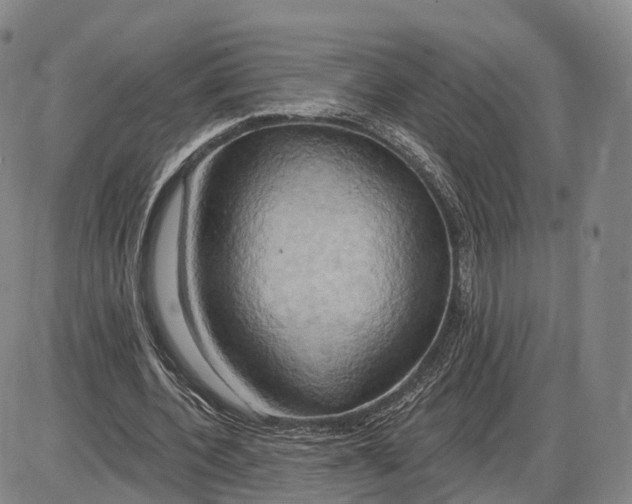 X0000085060532200704021347