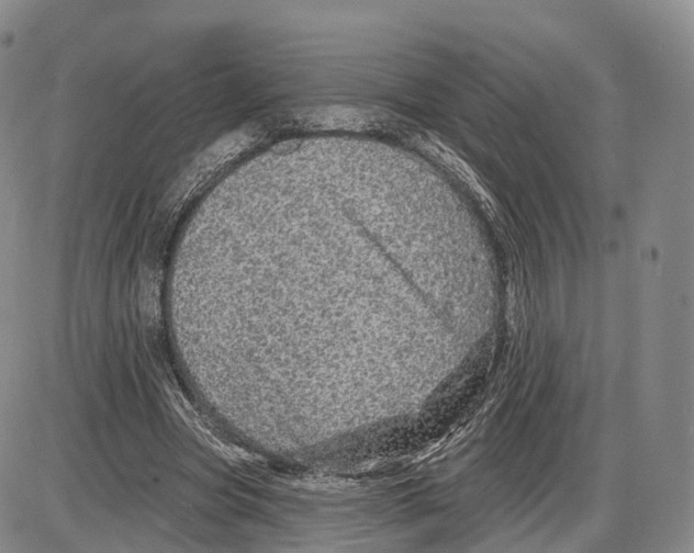 X0000085060537200704021347