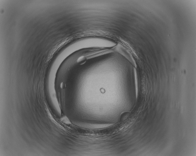 X0000085060538200704021347