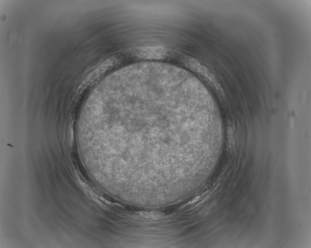 X0000085060541200704021347