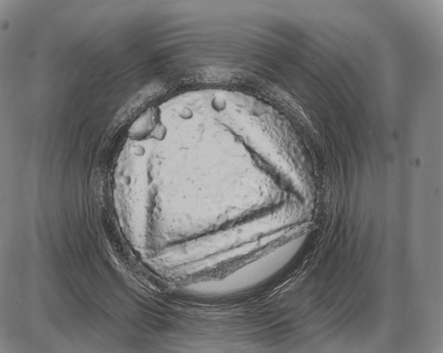 X0000085060542200704021347