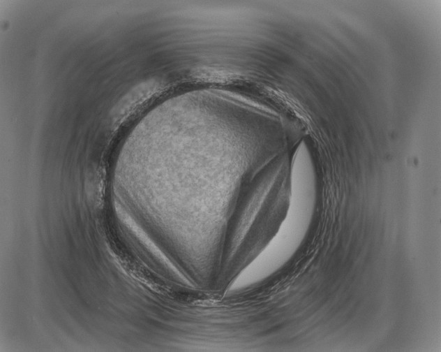 X0000085060544200704021347