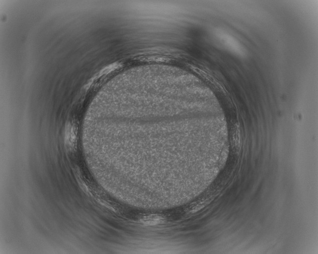 X0000085060551200704021348