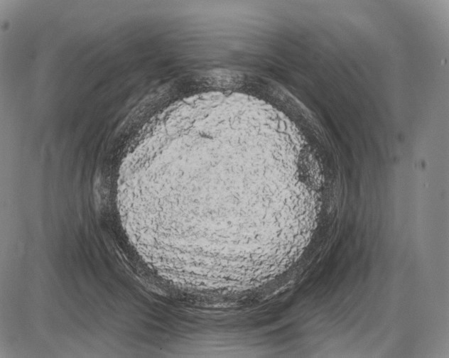X0000085060553200704021348