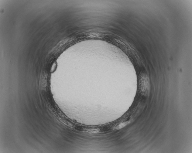 X0000085060554200704021348