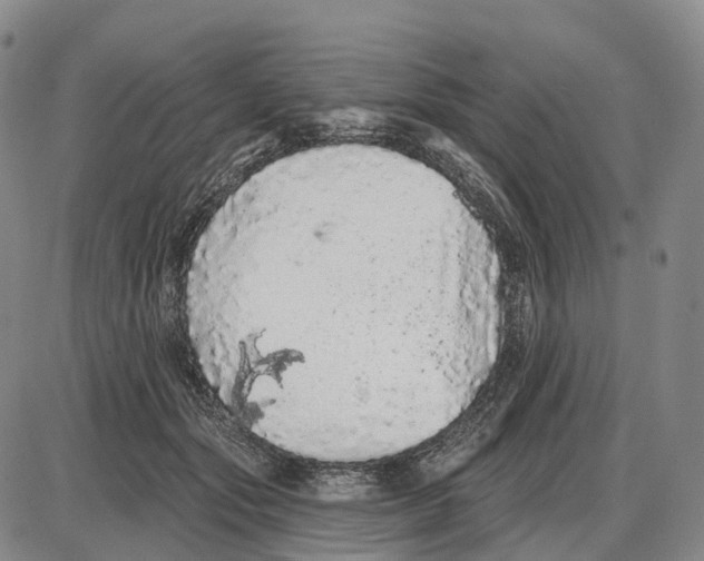 X0000085060557200704021348