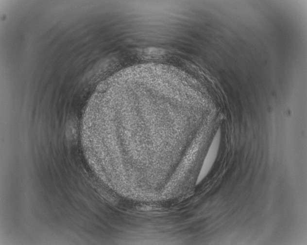 X0000085060561200704021348
