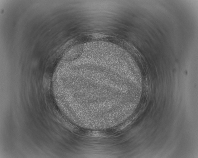 X0000085060565200704021348