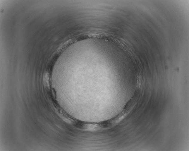 X0000085060575200704021348