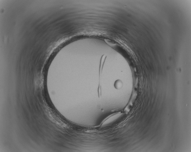 X0000085060584200704021347