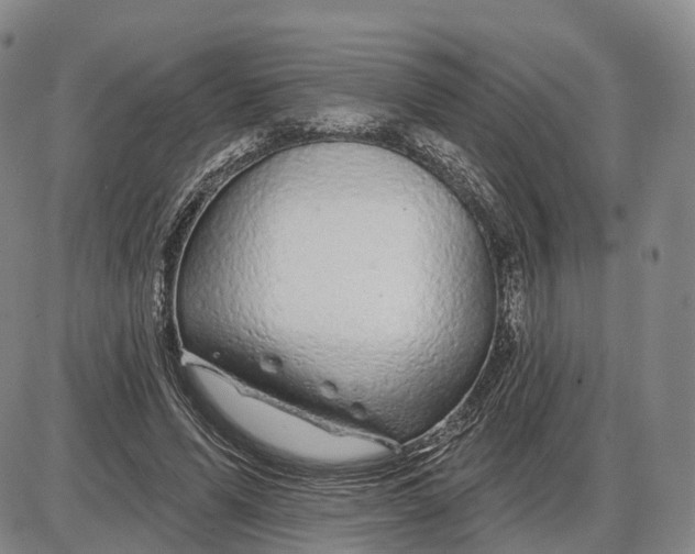 X0000085060591200704021347