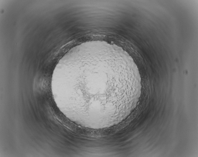 X0000085060604200704021347