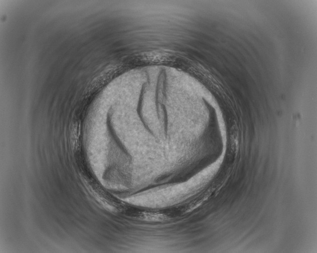 X0000085060605200704021347