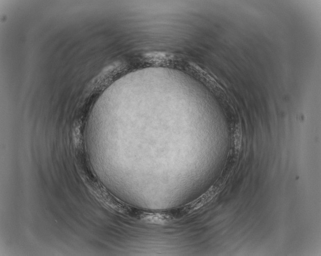 X0000085060611200704021347
