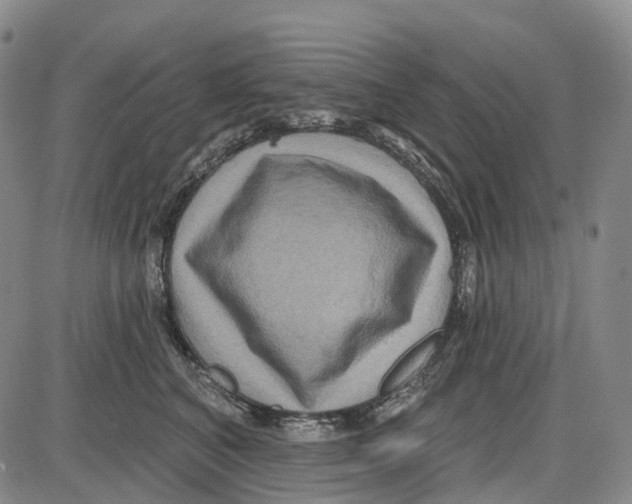 X0000085060616200704021346