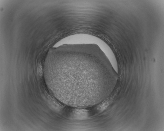 X0000085060617200704021346