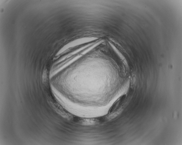 X0000085060623200704021346