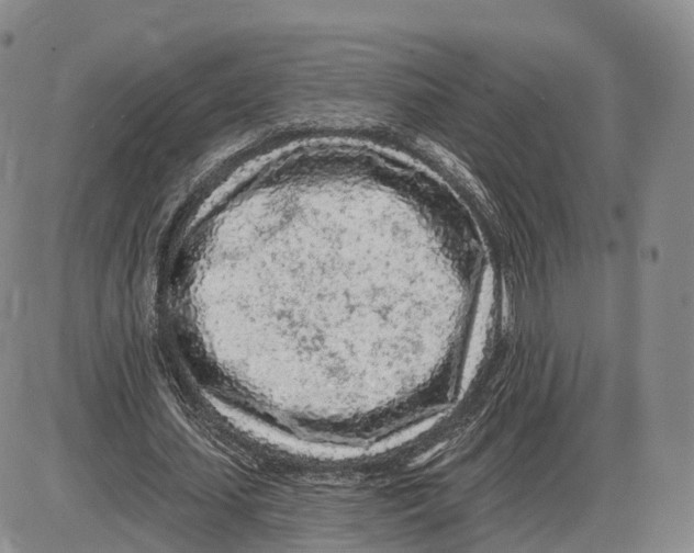 X0000085060627200704021346