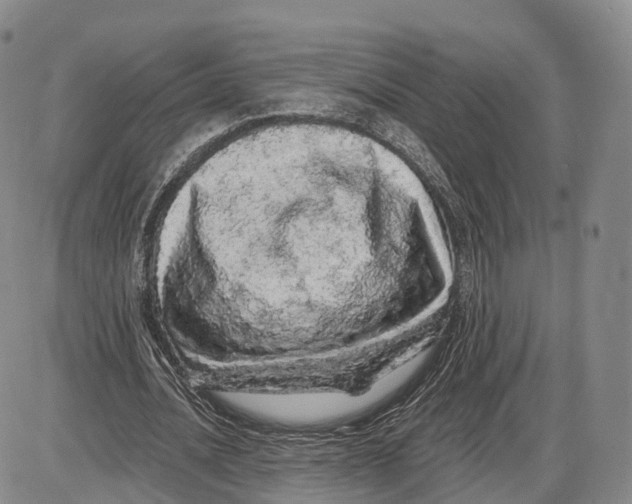X0000085060628200704021346