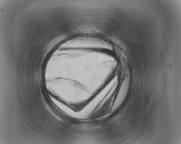 X0000085060630200704021346