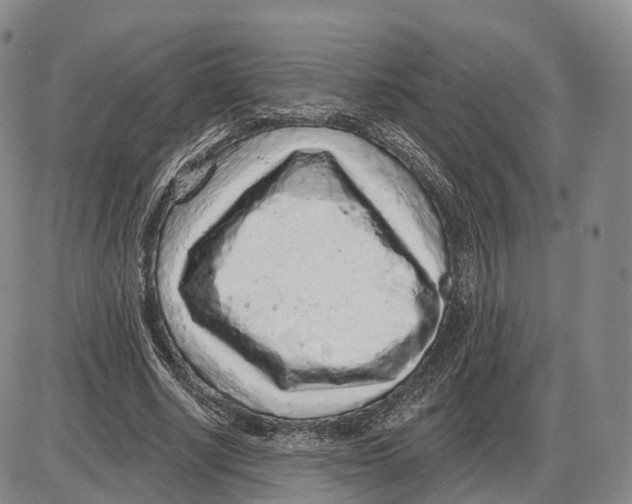 X0000085060634200704021346
