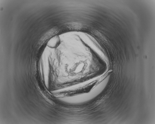 X0000085060638200704021346