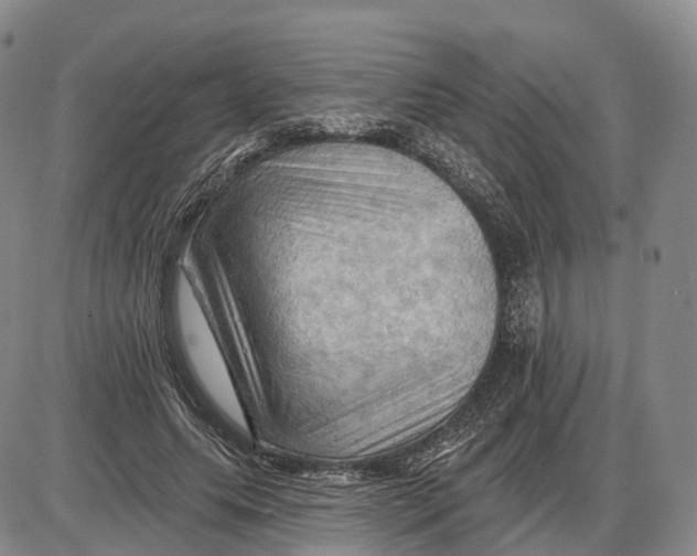 X0000085060639200704021346