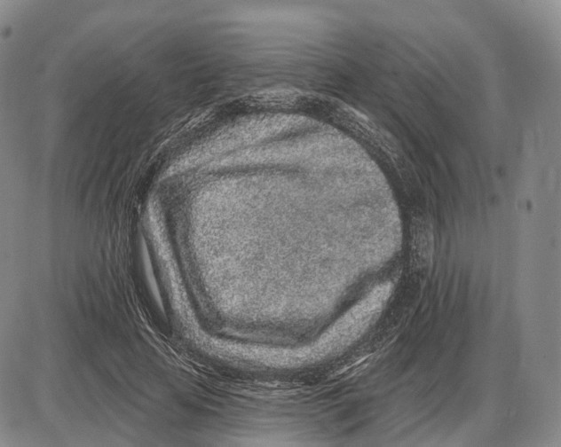 X0000085060641200704021346