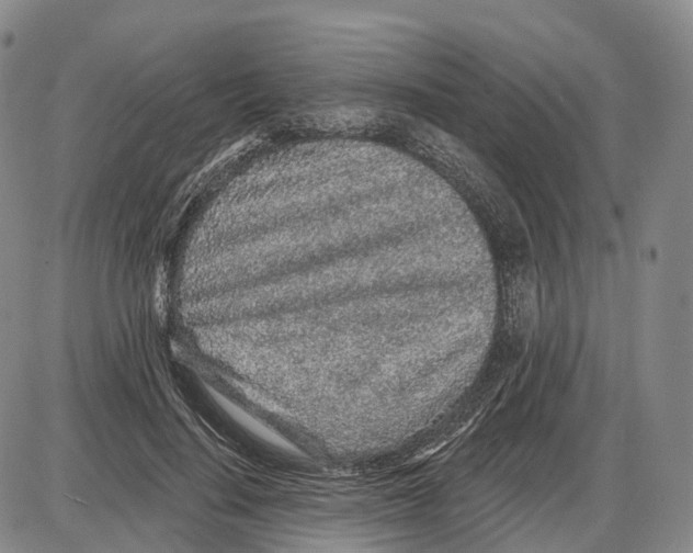 X0000085060644200704021346