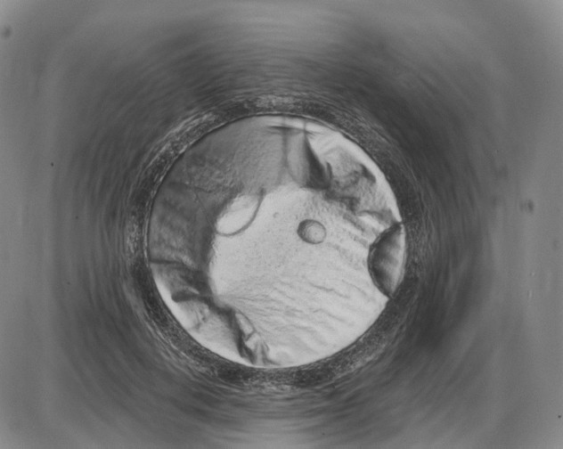 X0000085060648200704021346