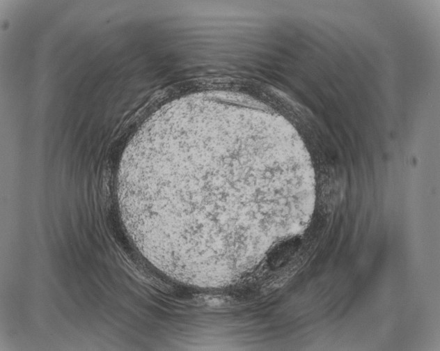 X0000085060654200704021346