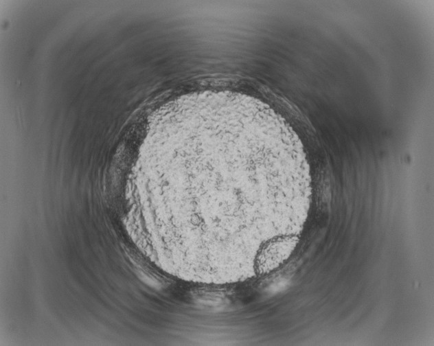 X0000085060661200704021346