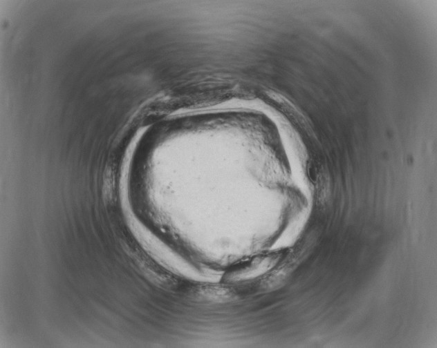 X0000085060669200704021346