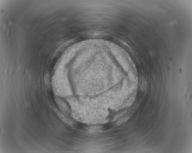 X0000085060670200704021346