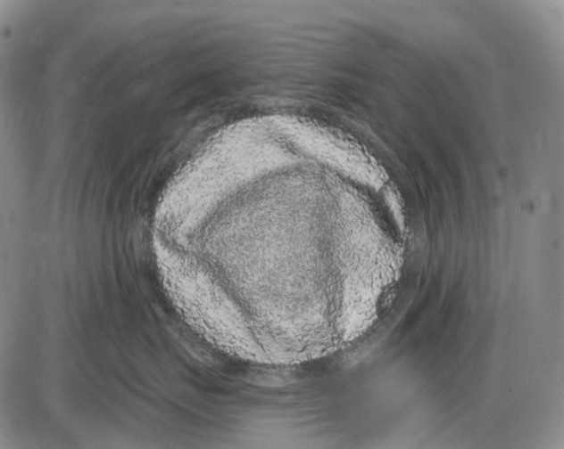 X0000085060671200704021346