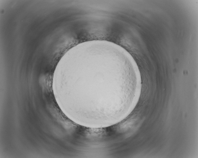 X0000085060672200704021346