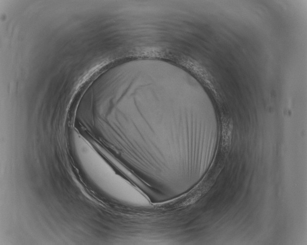 X0000085060674200704021346