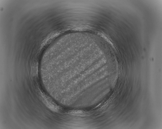 X0000085060685200704021345
