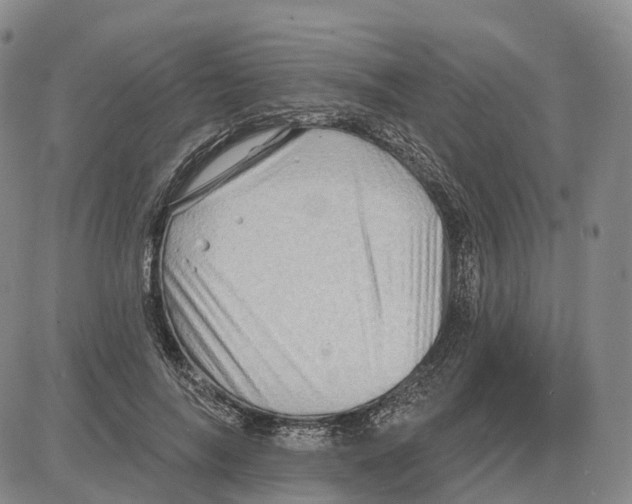 X0000085060694200704021345