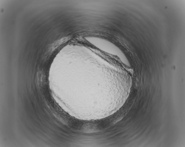 X0000085060700200704021345