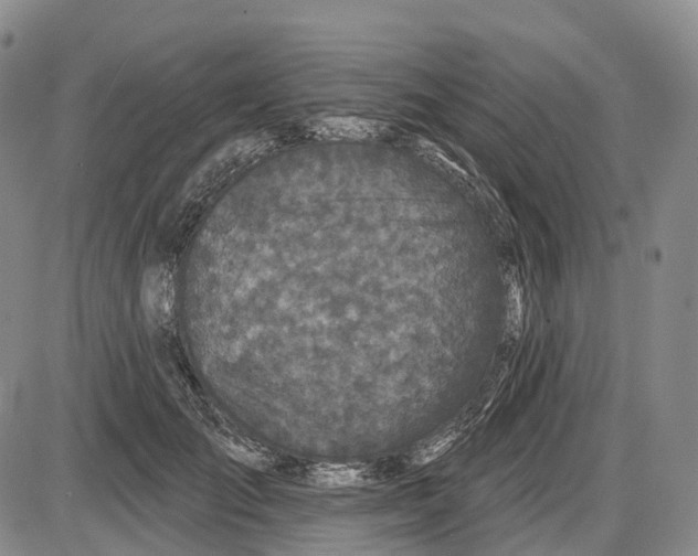 X0000085060701200704021345