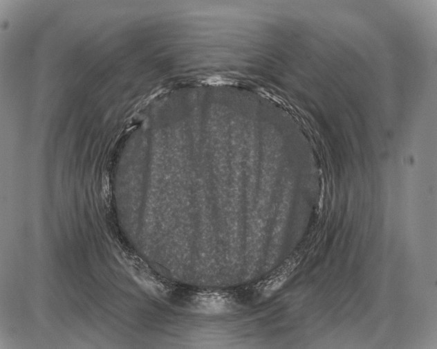 X0000085060704200704021345