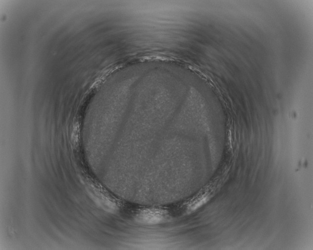 X0000085060708200704021345