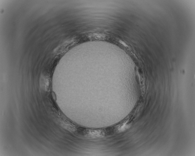 X0000085060709200704021345