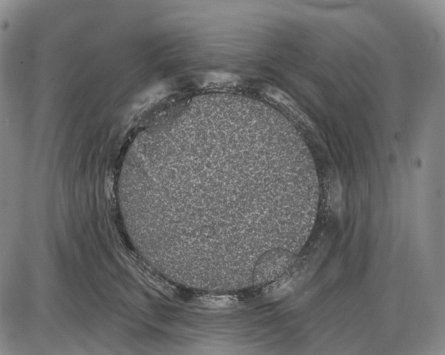 X0000085060711200704021345