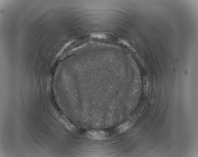 X0000085060712200704021345