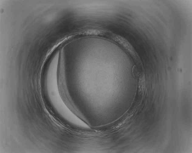 X0000085060722200704021344