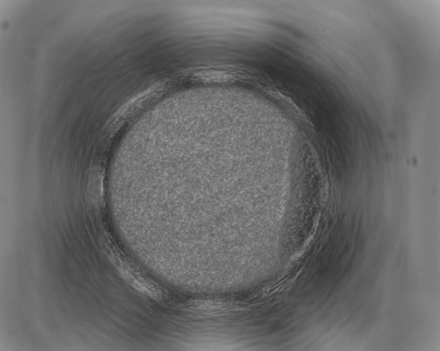 X0000085060733200704021344