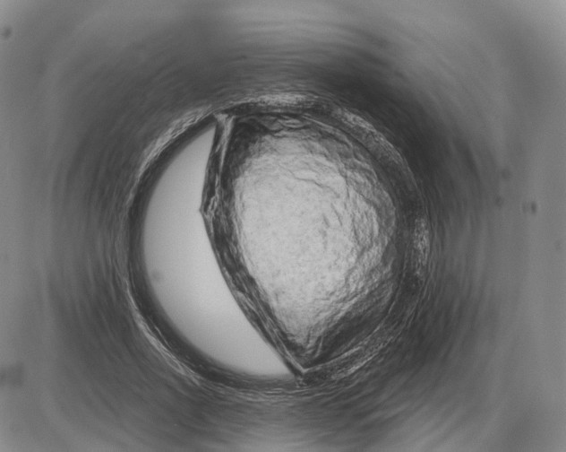 X0000085060734200704021344