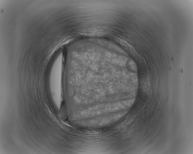 X0000085060735200704021344